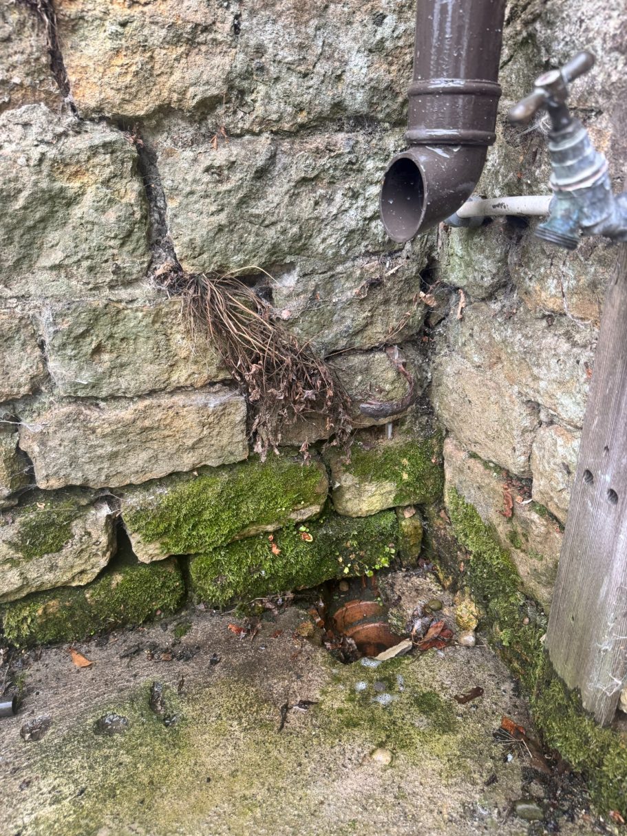 Penetrating Damp in Driffield