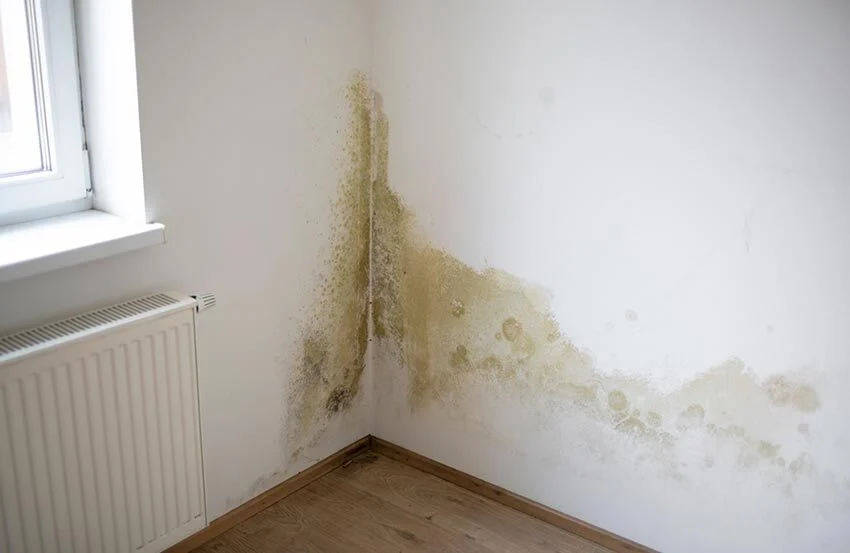 Mould in Malton